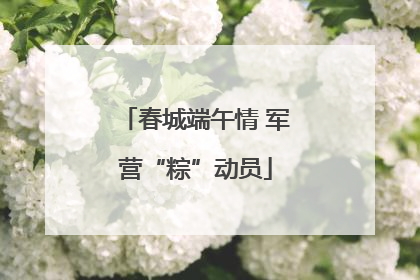 春城端午情 军营“粽”动员
