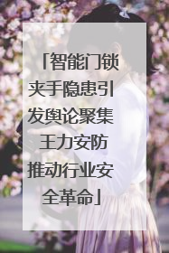 智能门锁夹手隐患引发舆论聚集 王力安防推动行业安全革命