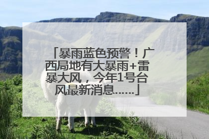 暴雨蓝色预警！广西局地有大暴雨+雷暴大风，今年1号台风最新消息……