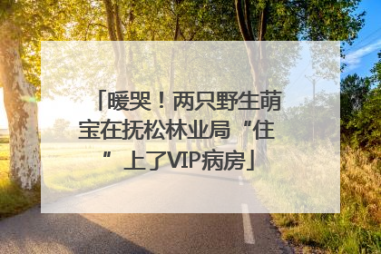 暖哭！两只野生萌宝在抚松林业局“住”上了VIP病房