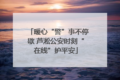 暖心“警”事不停歇 芦淞公安时刻“在线”护平安