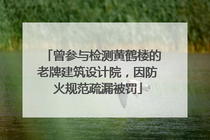 曾参与检测黄鹤楼的老牌建筑设计院，因防火规范疏漏被罚