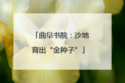 曲阜书院：沙地育出“金种子”