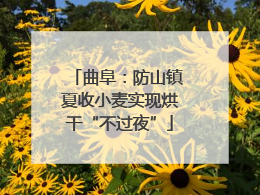 曲阜：防山镇夏收小麦实现烘干“不过夜”