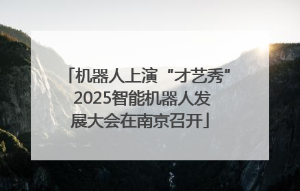 机器人上演“才艺秀” 2025智能机器人发展大会在南京召开