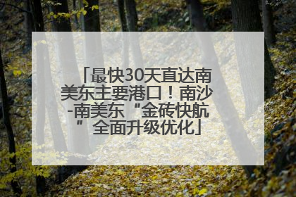 最快30天直达南美东主要港口！南沙-南美东“金砖快航”全面升级优化