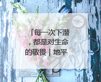 每一次下潜，都是对生命的敬畏｜地平线下的风景