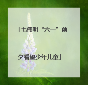 毛伟明“六一”前夕看望少年儿童
