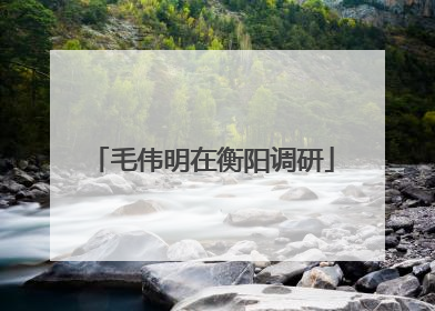 毛伟明在衡阳调研