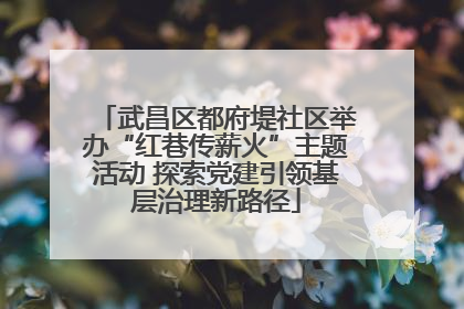 武昌区都府堤社区举办“红巷传薪火”主题活动 探索党建引领基层治理新路径