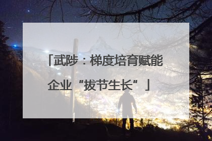 武陟：梯度培育赋能企业“拔节生长”