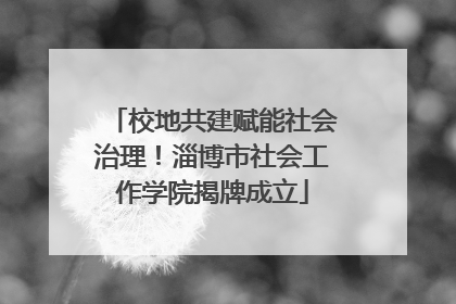 校地共建赋能社会治理！淄博市社会工作学院揭牌成立