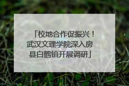 校地合作促振兴！武汉文理学院深入房县白鹤镇开展调研