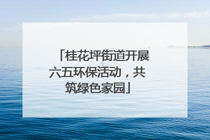 桂花坪街道开展六五环保活动，共筑绿色家园