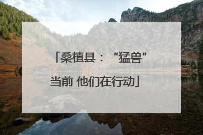 桑植县：“猛兽”当前 他们在行动