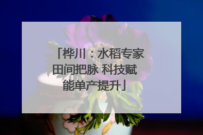 桦川：水稻专家田间把脉 科技赋能单产提升