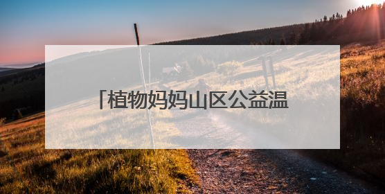 植物妈妈山区公益温情之行：用自然之爱，暖山区童梦之心