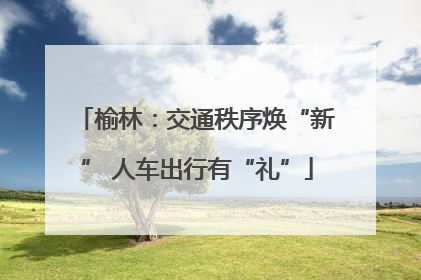 榆林：交通秩序焕“新” 人车出行有“礼”