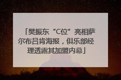 樊振东“C位”亮相萨尔布吕肯海报，俱乐部经理透露其加盟内幕