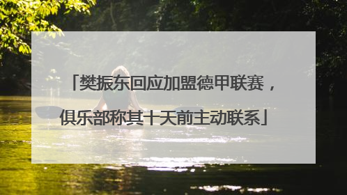樊振东回应加盟德甲联赛，俱乐部称其十天前主动联系