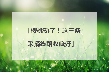 樱桃熟了！这三条采摘线路收藏好