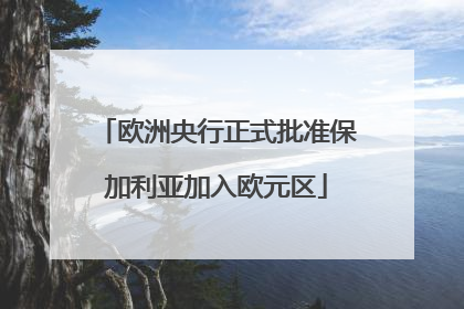 欧洲央行正式批准保加利亚加入欧元区