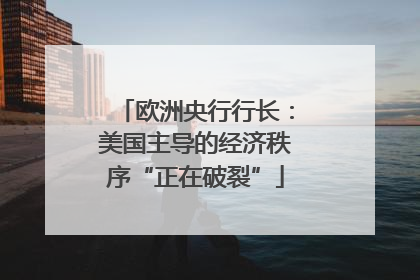 欧洲央行行长：美国主导的经济秩序“正在破裂”