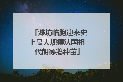 潍坊临朐迎来史上最大规模法国祖代朗德鹅种苗