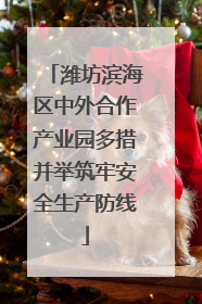 潍坊滨海区中外合作产业园多措并举筑牢安全生产防线