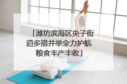 潍坊滨海区央子街道多措并举全力护航粮食丰产丰收