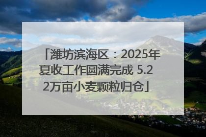 潍坊滨海区：2025年夏收工作圆满完成 5.22万亩小麦颗粒归仓