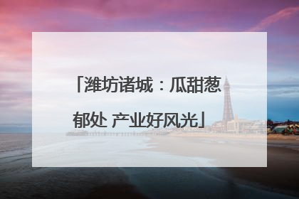 潍坊诸城：瓜甜葱郁处 产业好风光