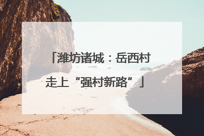 潍坊诸城：岳西村走上“强村新路”