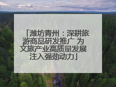 潍坊青州：深耕旅游商品研发推广 为文旅产业高质量发展注入强劲动力