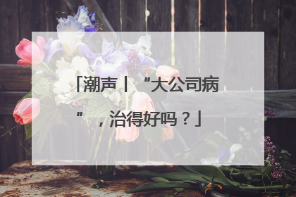 潮声丨“大公司病”，治得好吗？