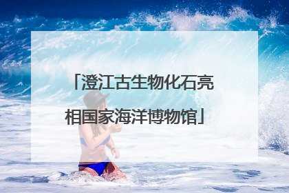 澄江古生物化石亮相国家海洋博物馆