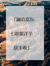 澜沧富东七彩紫洋芋获丰收
