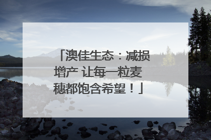 澳佳生态：减损增产 让每一粒麦穗都饱含希望！