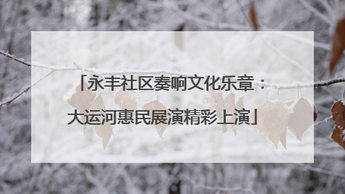 永丰社区奏响文化乐章：大运河惠民展演精彩上演