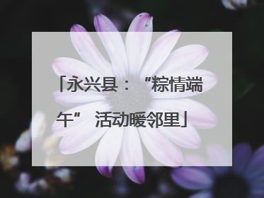 永兴县：“粽情端午” 活动暖邻里
