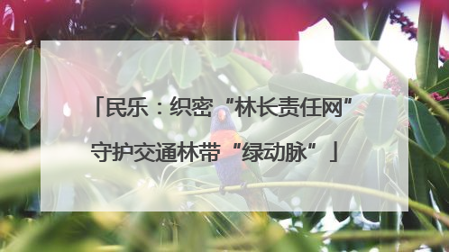 民乐：织密“林长责任网” 守护交通林带“绿动脉”