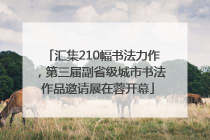 汇集210幅书法力作，第三届副省级城市书法作品邀请展在蓉开幕