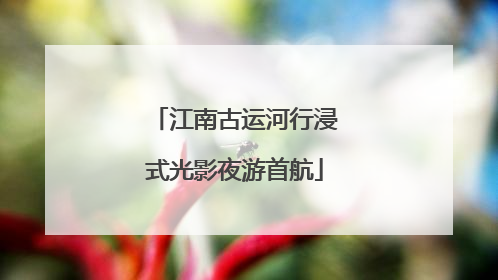 江南古运河行浸式光影夜游首航