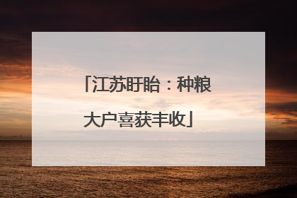 江苏盱眙：种粮大户喜获丰收