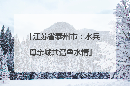 江苏省泰州市：水兵母亲城共谱鱼水情