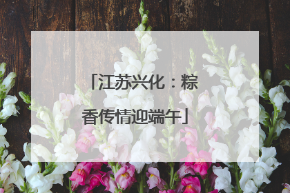 江苏兴化：粽香传情迎端午
