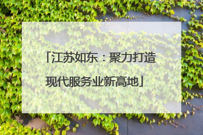 江苏如东：聚力打造现代服务业新高地