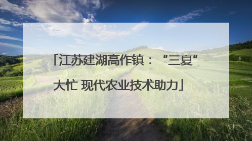 江苏建湖高作镇：“三夏”大忙 现代农业技术助力