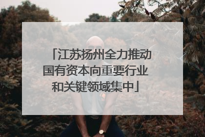 江苏扬州全力推动国有资本向重要行业和关键领域集中