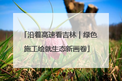 沿着高速看吉林｜绿色施工绘就生态新画卷
